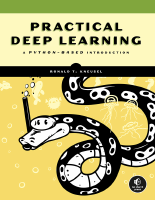 Practical-Deep-Learning.pdf